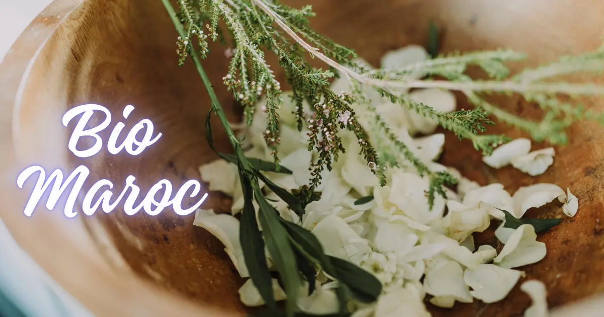 Crèmes bio Balea Maroc et flacons de parfums orientaux Lattafa 2025 – Gamme de cosmétiques naturels et vegan disponibles à Casablanca, Rabat, Marrakech